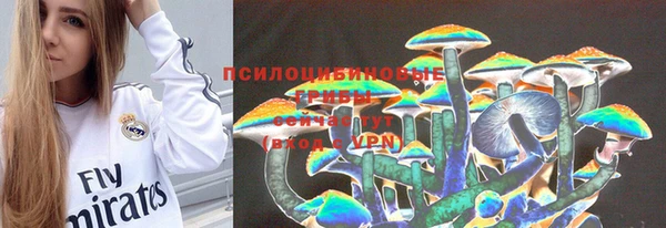 прущие грибы Лиски