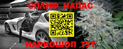 гашик Беслан