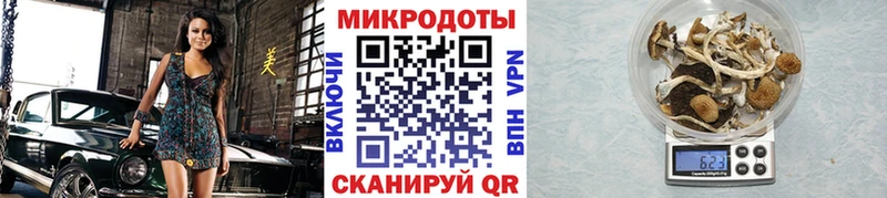 Галлюциногенные грибы Cubensis ссылка на мегу вход Нижнеудинск