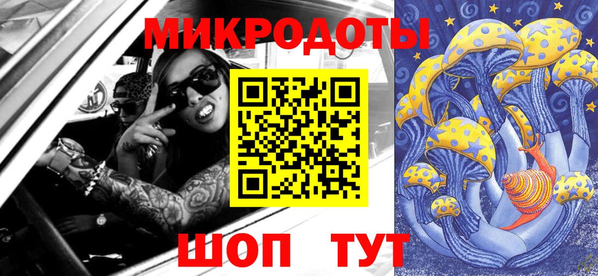 Псилоцибиновые грибы прущие грибы  Псилоцибиновые грибы Psilocybe  Нижнеудинск 