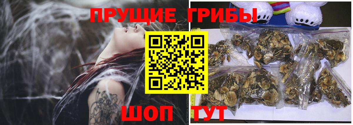 Псилоцибиновые грибы GOLDEN TEACHER Нижнеудинск