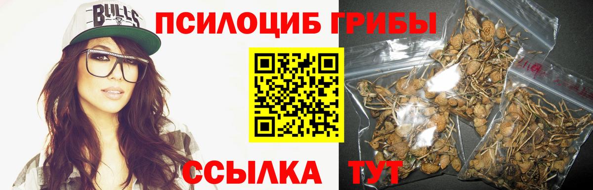 Галлюциногенные грибы Psilocybine cubensis  Вход с VPN  Нижнеудинск 